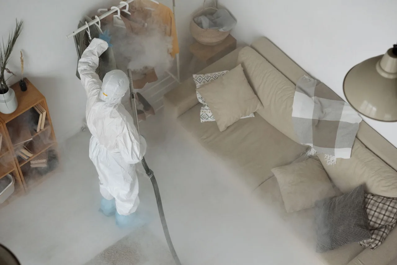 Couch Cleaning: The Complete UAE Guide