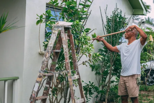 Homeowner Maintenance