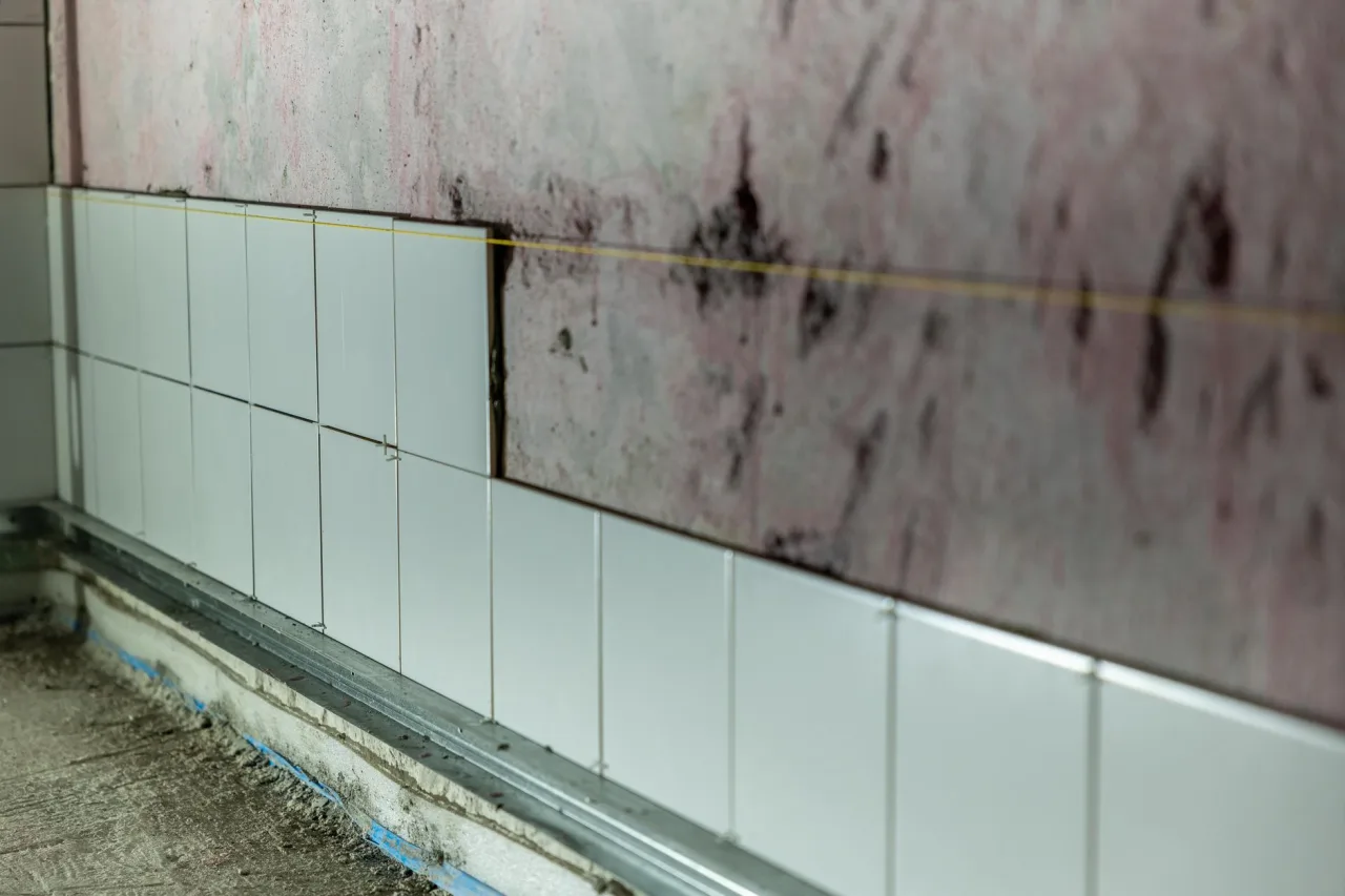 Mold Cleaning: UAE Guide