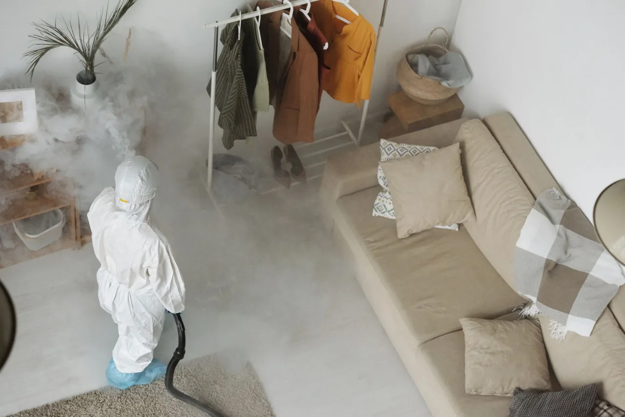 Mold Removal: The Complete UAE Guide