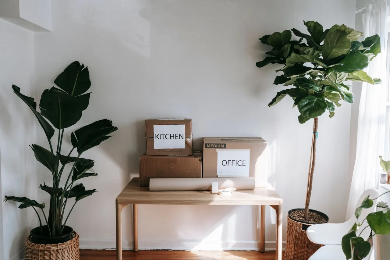 Move Out Cleaning Services in the UAE
