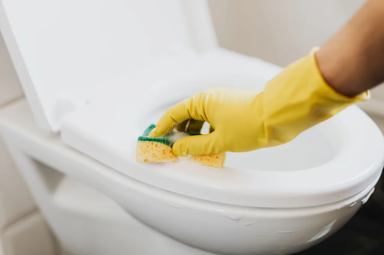 Pro Clean
