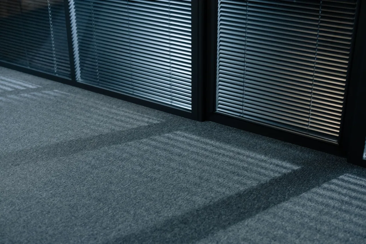 Professional Carpet Cleaning