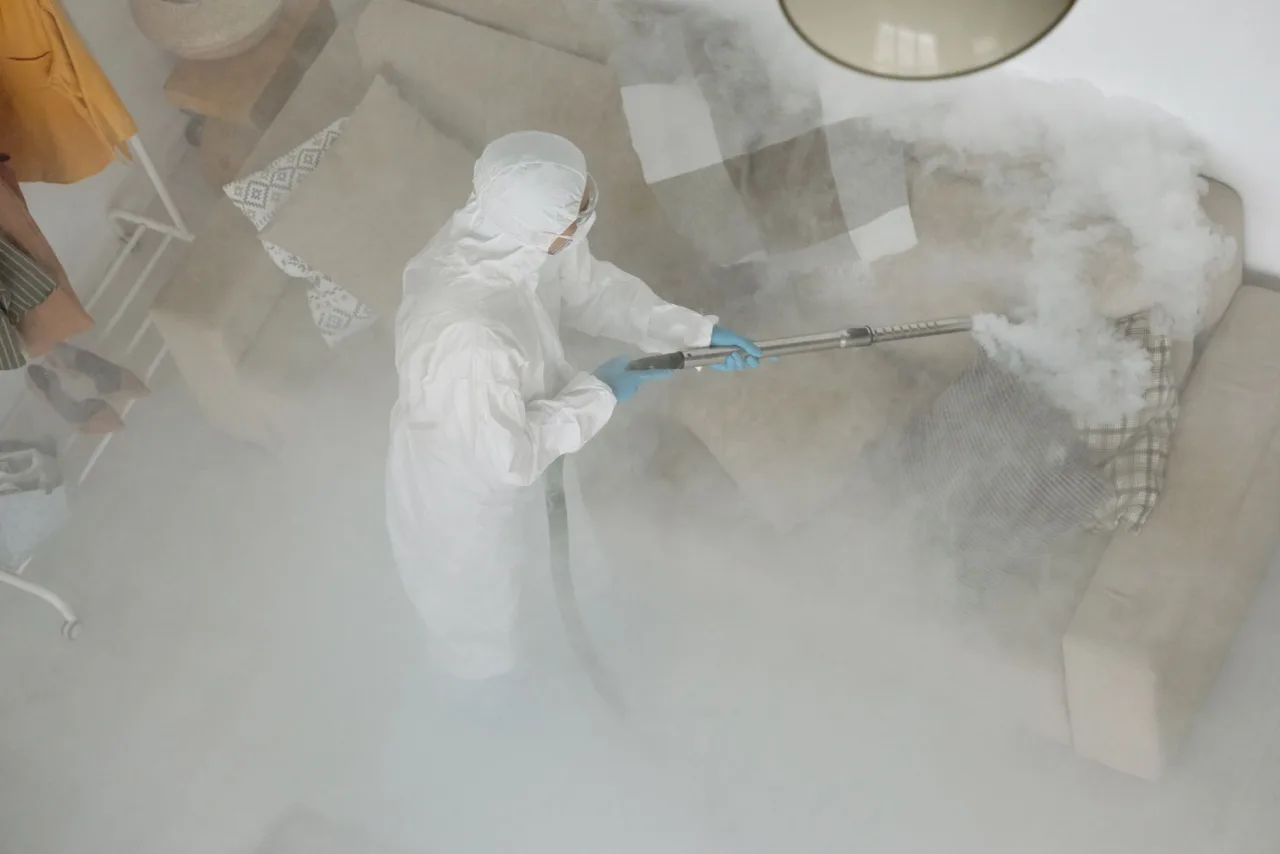 Steam Clean Sofa: UAE Guide